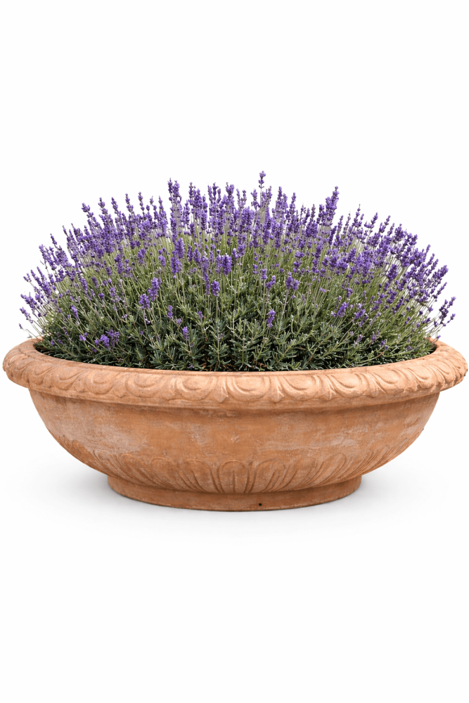 Coupe élégante en terre cuite d’Impruneta à fines cannelures – esthétique intemporelle et élégance toscane